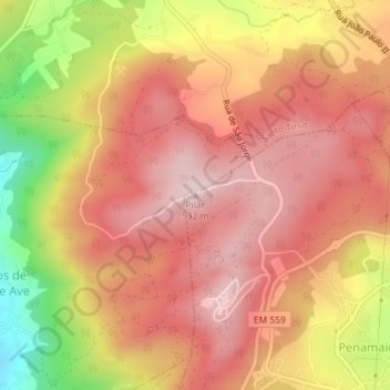 Mappa topografica Pilar, altitudine, rilievo