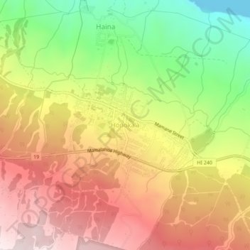 Mappa topografica Honokaa, altitudine, rilievo