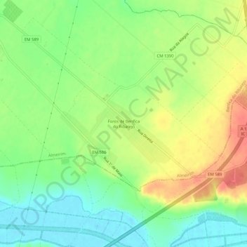 Mappa topografica Foros de Benfica do Ribatejo, altitudine, rilievo
