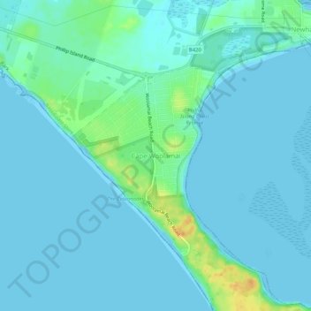 Mappa topografica Cape Woolamai, altitudine, rilievo