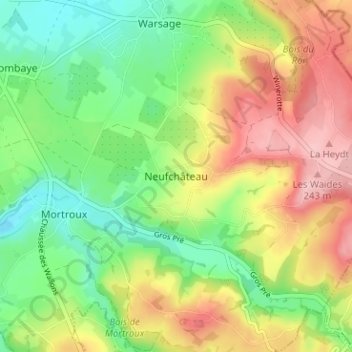 Mappa topografica Neufchâteau, altitudine, rilievo