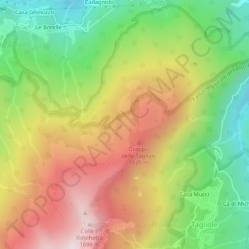 Mappa topografica Roncoglione, altitudine, rilievo