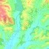 Mappa topografica Monteaperti, altitudine, rilievo