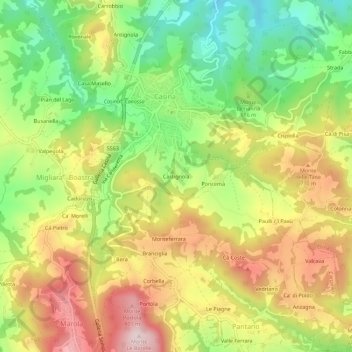 Mappa topografica Castignola, altitudine, rilievo