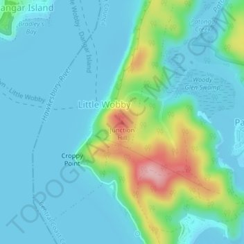 Mappa topografica Junction Hill, altitudine, rilievo