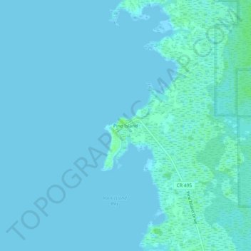 Mappa topografica Pine Island, altitudine, rilievo