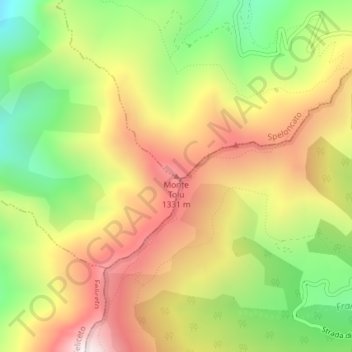 Mappa topografica Monte Tolu, altitudine, rilievo
