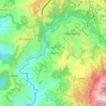 Mappa topografica La Floresta, altitudine, rilievo