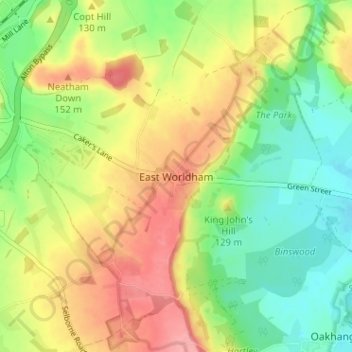 Mappa topografica East Worldham, altitudine, rilievo