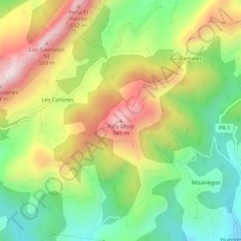 Mappa topografica Pico Moro, altitudine, rilievo