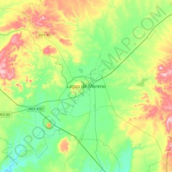 Mappa topografica Lagos de Moreno, altitudine, rilievo