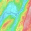 Mappa topografica Coiselet, altitudine, rilievo