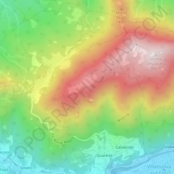 Mappa topografica Selvapiana, altitudine, rilievo