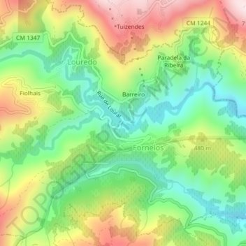 Mappa topografica Praia Fluvial de Fornelos, altitudine, rilievo