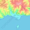 Mappa topografica Kingston, altitudine, rilievo