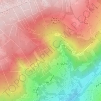 Mappa topografica Dessus les Roches, altitudine, rilievo