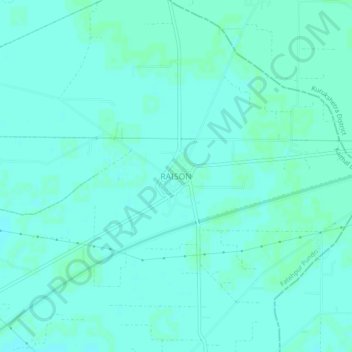Mappa topografica RAISON, altitudine, rilievo