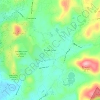 Mappa topografica Furnace Woods, altitudine, rilievo