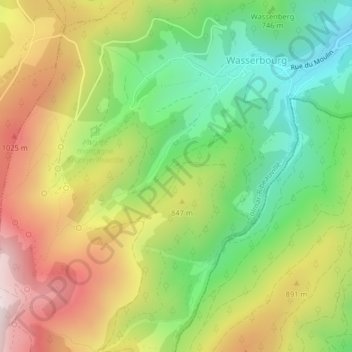 Mappa topografica Bannwald, altitudine, rilievo