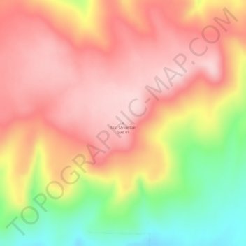 Mappa topografica Bald Mountain, altitudine, rilievo