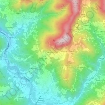 Mappa topografica Montemaggio, altitudine, rilievo