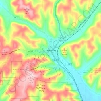 Mappa topografica Ellicottville, altitudine, rilievo
