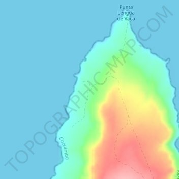 Mappa topografica Lengua de Vaca, altitudine, rilievo