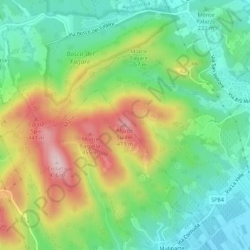 Mappa topografica Monte Sulder, altitudine, rilievo