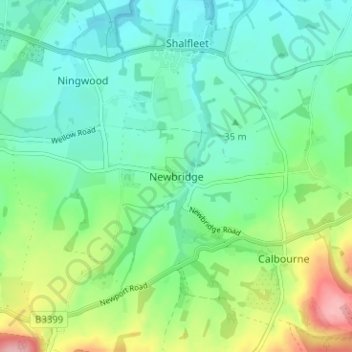 Mappa topografica Newbridge, altitudine, rilievo