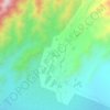 Mappa topografica Choya, altitudine, rilievo