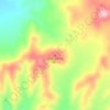 Mappa topografica Palo Gacho, altitudine, rilievo