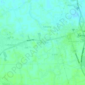 Mappa topografica Salomague, altitudine, rilievo