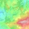 Mappa topografica Wildenau, altitudine, rilievo