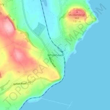 Mappa topografica Whitehead, altitudine, rilievo