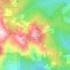 Mappa topografica Silver Peak, altitudine, rilievo