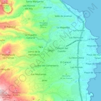 Mappa topografica Telde, altitudine, rilievo