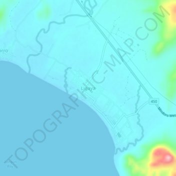 Mappa topografica Ligaya, altitudine, rilievo