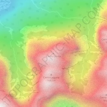 Mappa topografica Cerro Gorila, altitudine, rilievo