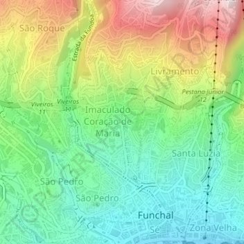 Mappa topografica Funchal(Madeira), altitudine, rilievo