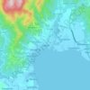 Mappa topografica Sogod, altitudine, rilievo
