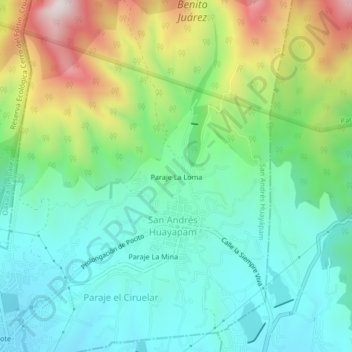 Mappa topografica Paraje La Loma, altitudine, rilievo