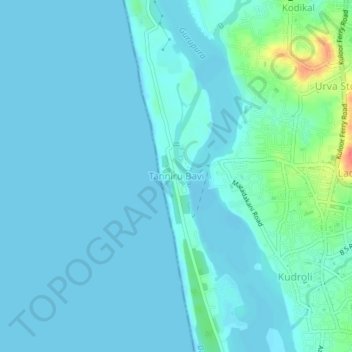 Mappa topografica Tanniru Bavi, altitudine, rilievo