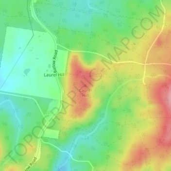 Mappa topografica Laurel Hill, altitudine, rilievo
