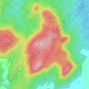 Mappa topografica Foster Mountain, altitudine, rilievo