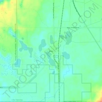 Mappa topografica Bitely, altitudine, rilievo