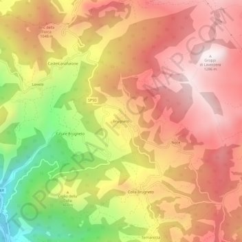 Mappa topografica Brugneto, altitudine, rilievo