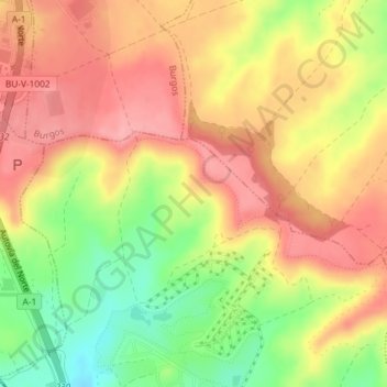 Mappa topografica Laiza, altitudine, rilievo