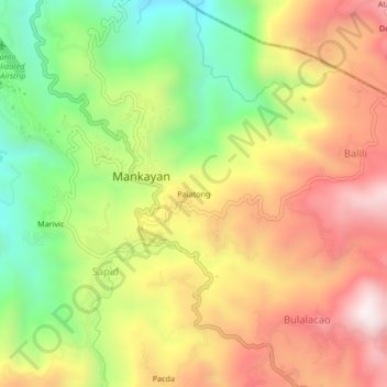 Mappa topografica Palatong, altitudine, rilievo