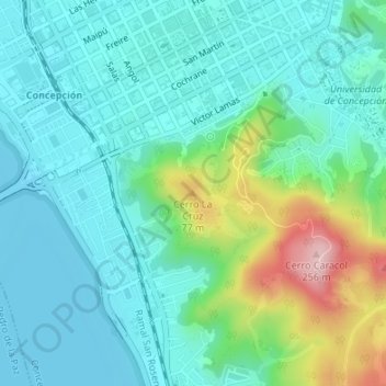 Mappa topografica Cerro La Cruz, altitudine, rilievo