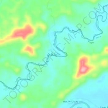 Mappa topografica Palta Cocha, altitudine, rilievo